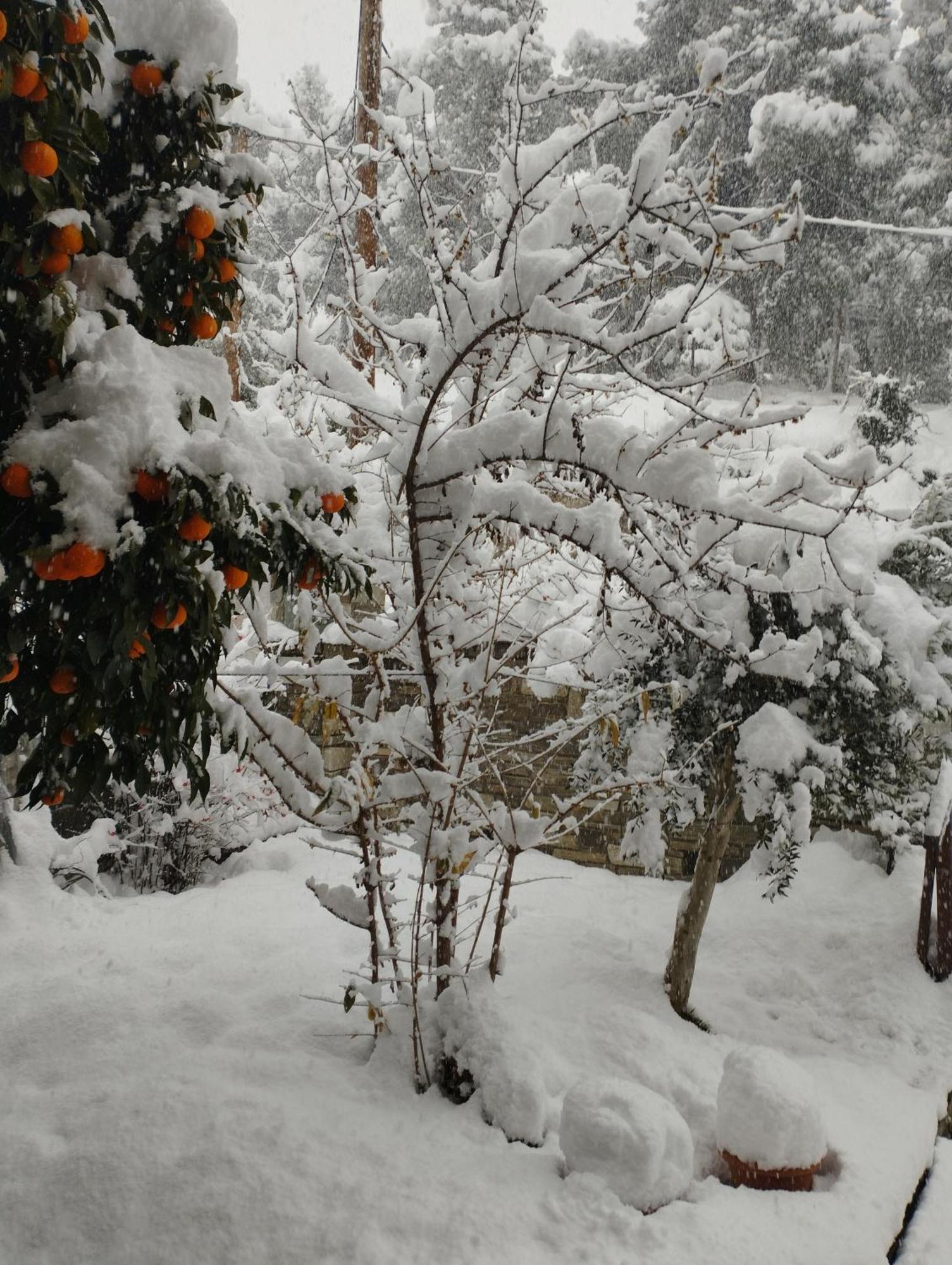Mountain Breeze Sanctuary Volos Exterior foto